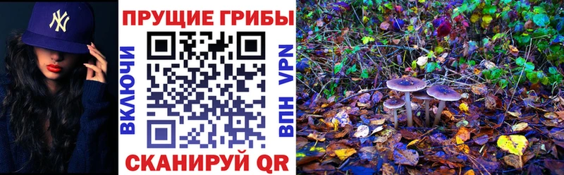 Галлюциногенные грибы мухоморы  Купить где  Балтийск 